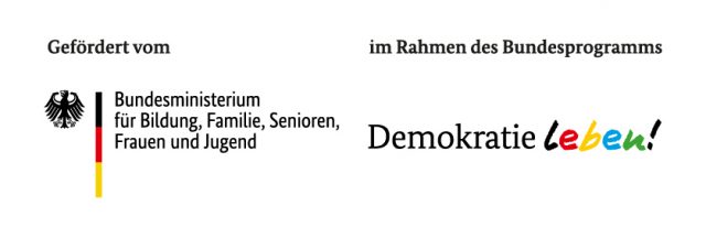 Gisela Steineckert: Durch Nacht und Feuer